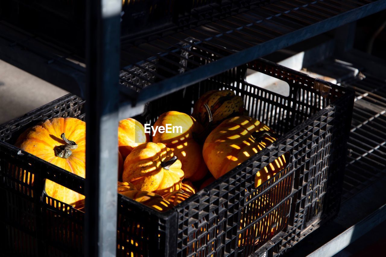 HIGH ANGLE VIEW OF FRUITS ON METAL IN CONTAINER