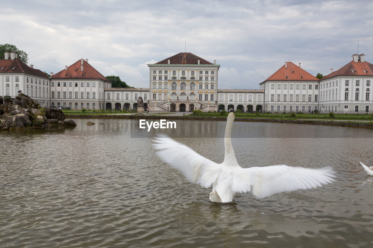 VIEW OF SWAN IN LAKE AGAINST BUILDINGS