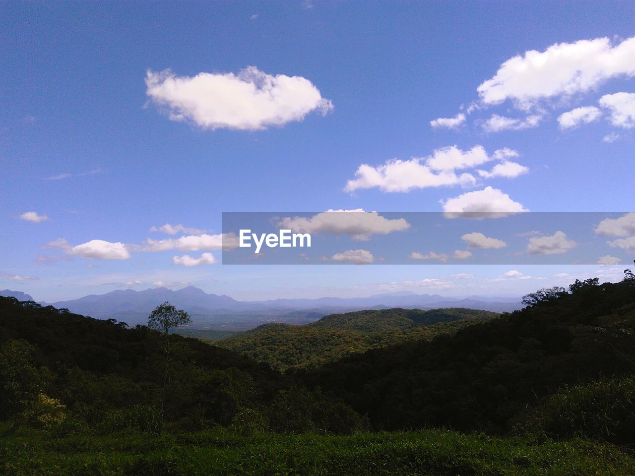 SCENIC VIEW OF GREEN LANDSCAPE AGAINST SKY