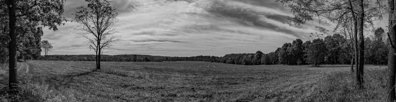 plant, tree, nature, black and white, land, landscape, monochrome photography, sky, environment, monochrome, tranquility, field, scenics - nature, tranquil scene, growth, cloud, beauty in nature, forest, no people, rural scene, grass, natural environment, non-urban scene, rural area, panoramic, day, outdoors, fence, agriculture, woodland, trunk, tree trunk, darkness