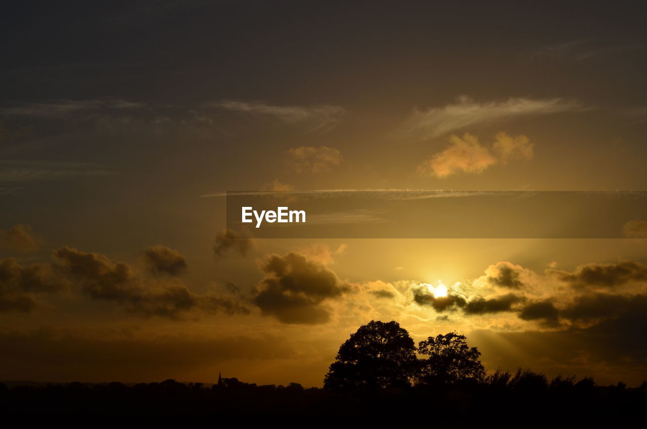 SCENIC VIEW OF SILHOUETTE TREES AGAINST SKY DURING SUNSET