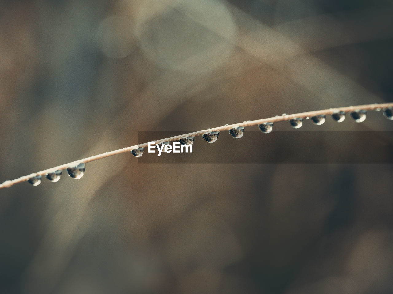 Close-up of water drops on metal