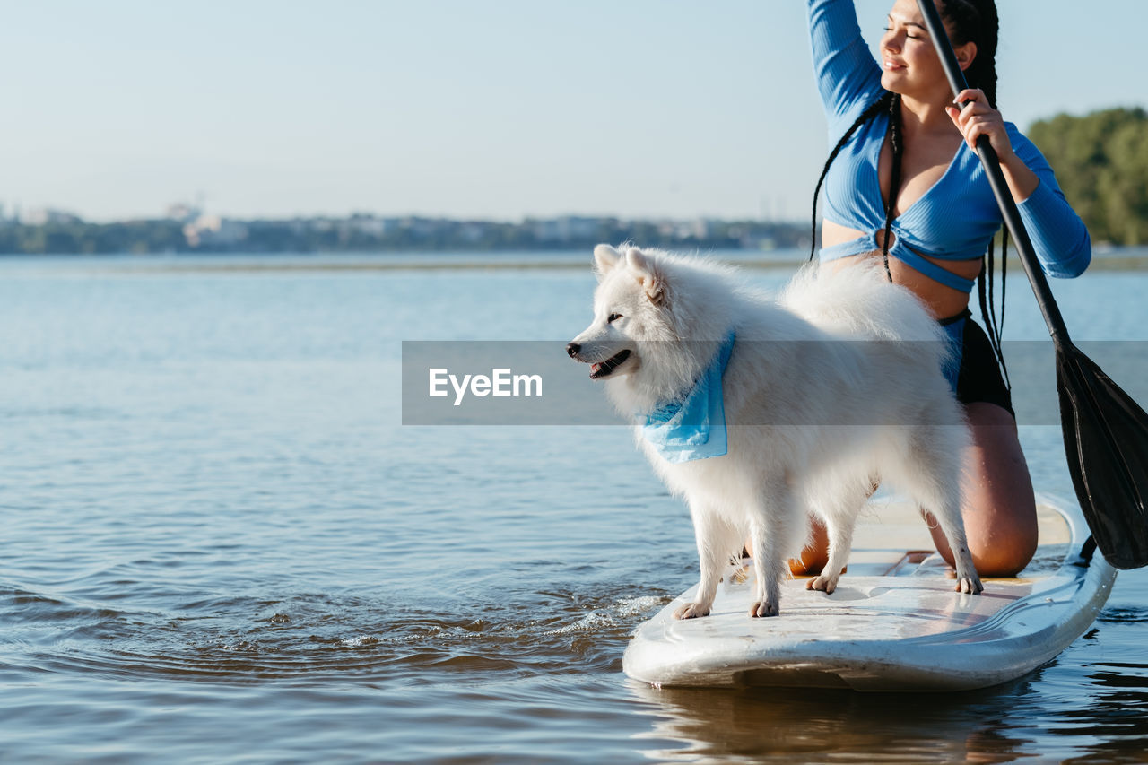 Japanese spitz dog standing on sup board, woman paddleboarding with her pet on the city lake