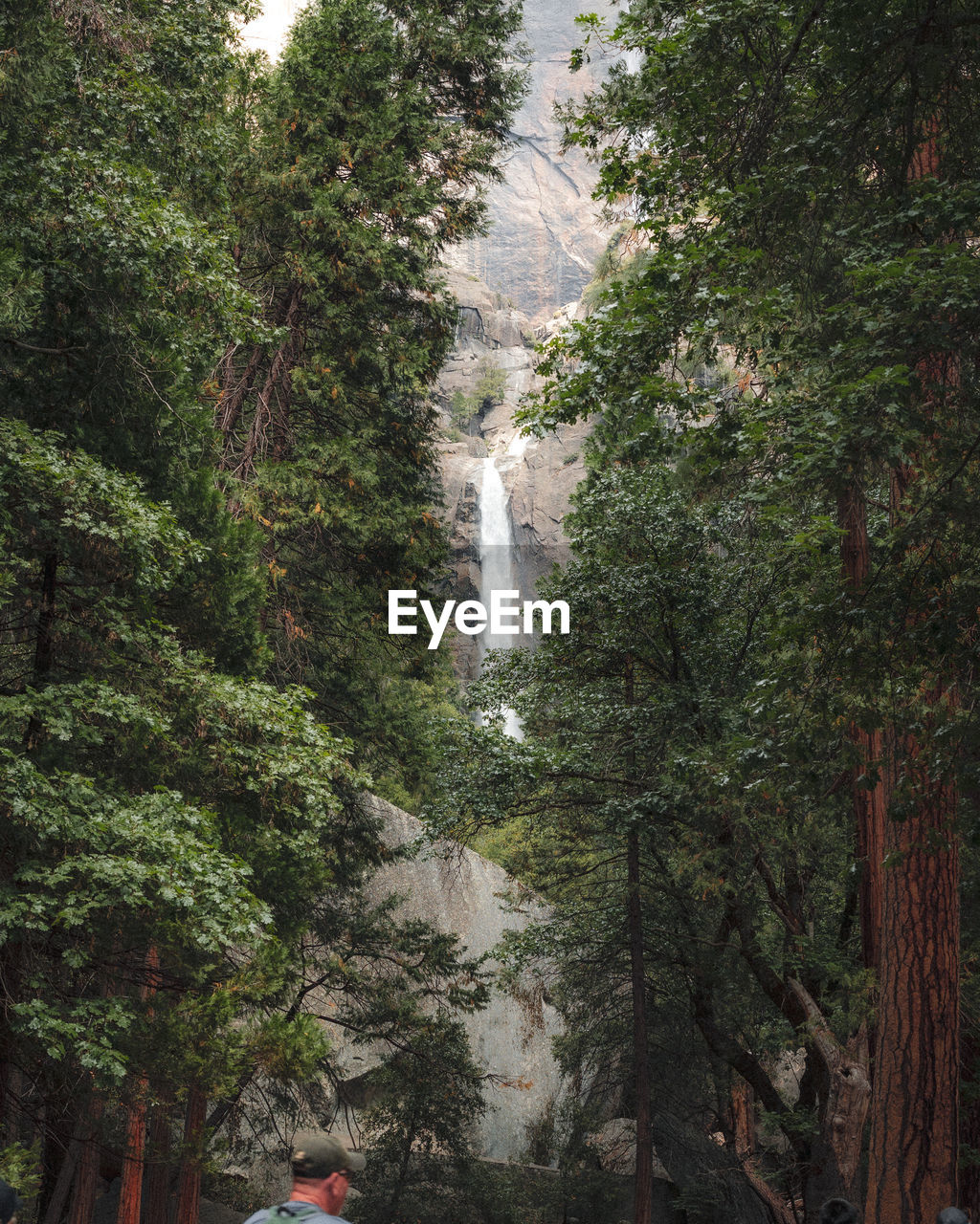 tree, plant, waterfall, forest, nature, growth, beauty in nature, rainforest, day, green, water, land, scenics - nature, water feature, outdoors, jungle, foliage, motion, lush foliage, travel, no people, architecture, flowing water, non-urban scene, travel destinations, tourism, environment, tranquility
