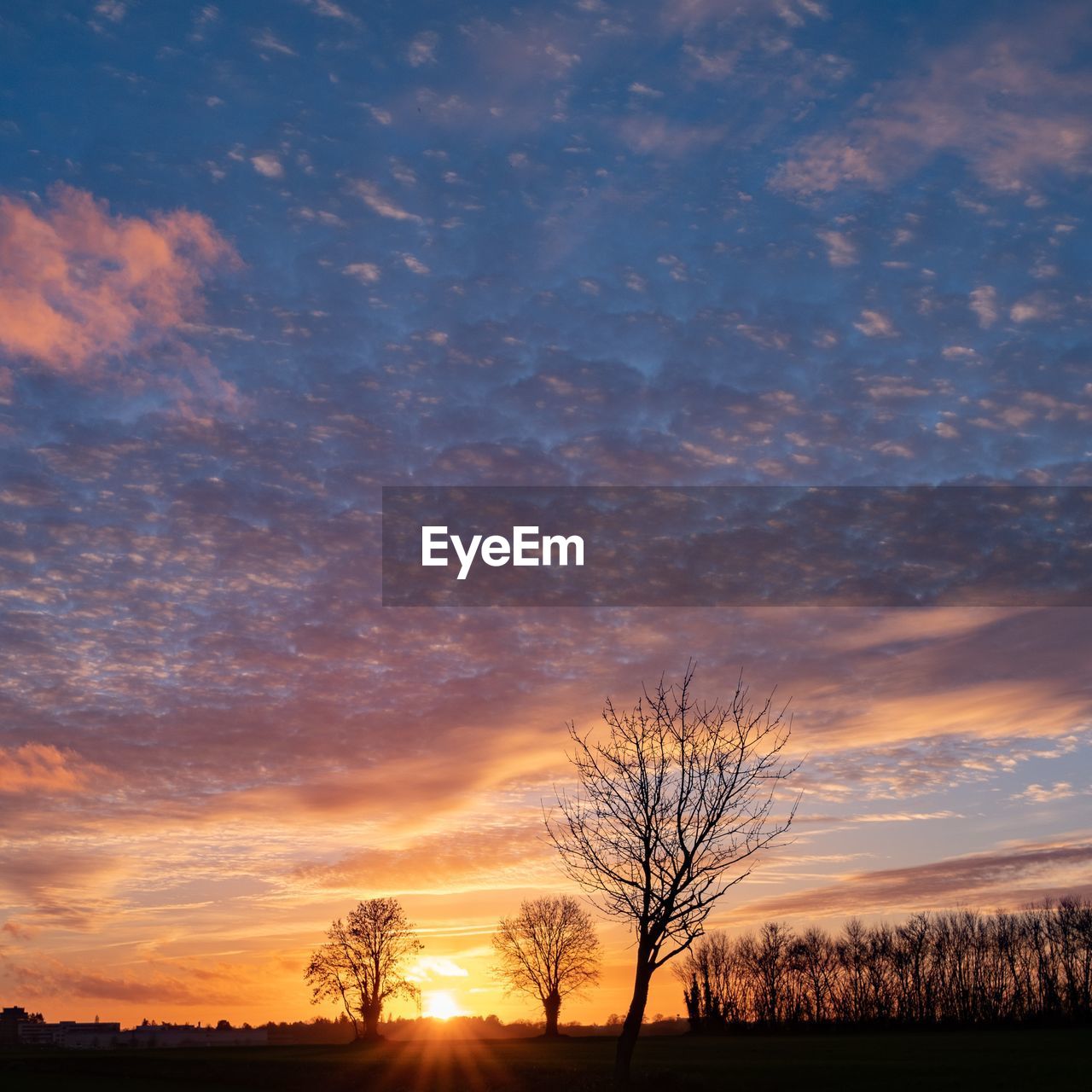 sky, sunset, tree, cloud, dawn, beauty in nature, plant, scenics - nature, horizon, landscape, nature, environment, tranquility, tranquil scene, afterglow, silhouette, bare tree, evening, land, orange color, no people, field, sunlight, dramatic sky, idyllic, rural scene, sun, non-urban scene, outdoors, red sky at morning, blue, back lit, horizon over land, cloudscape, twilight, moody sky