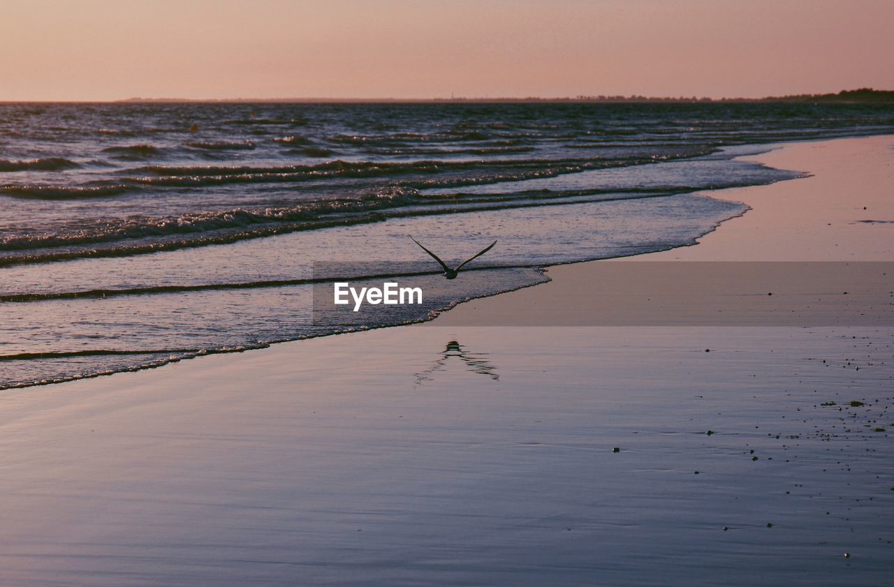 SCENIC VIEW OF DRIFTWOOD ON BEACH AGAINST SKY