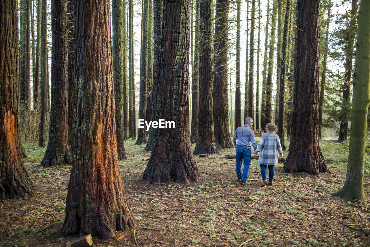 Rear view of retired couple walking in nature, enjoying their freedom.