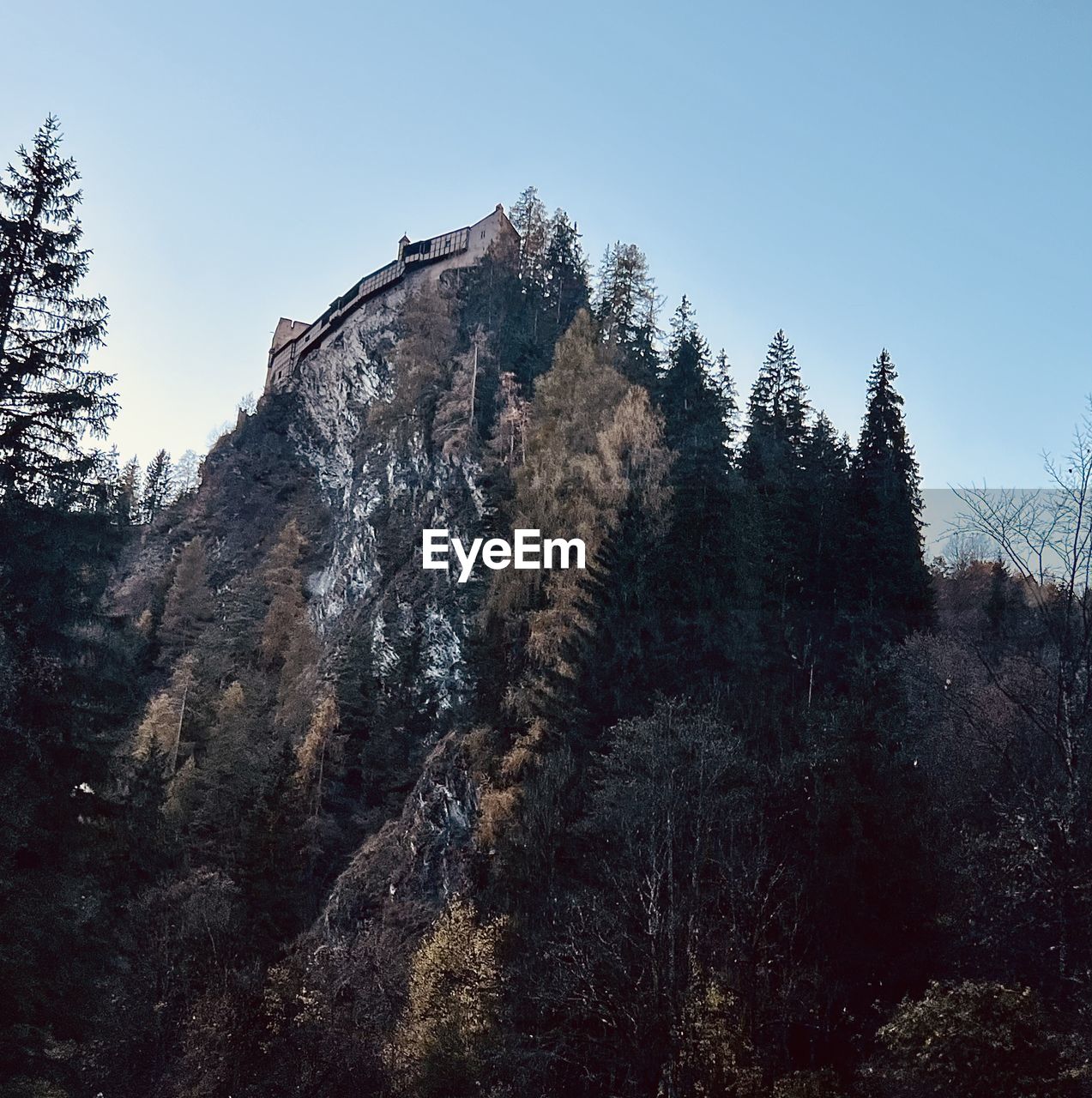 tree, plant, sky, nature, mountain, wilderness, coniferous tree, pinaceae, pine tree, scenics - nature, forest, beauty in nature, land, pine woodland, environment, mountain range, snow, ridge, no people, landscape, non-urban scene, travel destinations, tranquility, tranquil scene, clear sky, travel, low angle view, outdoors, winter, cold temperature, woodland, rock, day, tourism, blue, mountain peak