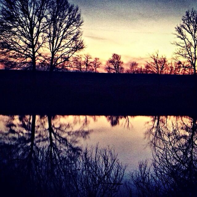 SILHOUETTE OF BARE TREES BY LAKE AT SUNSET