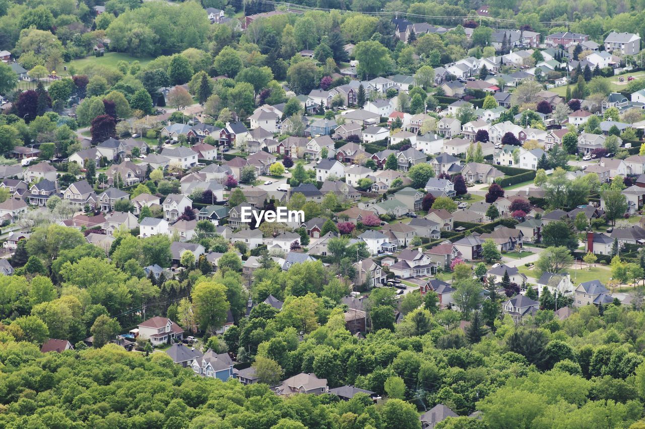 High angle view of townscape and trees