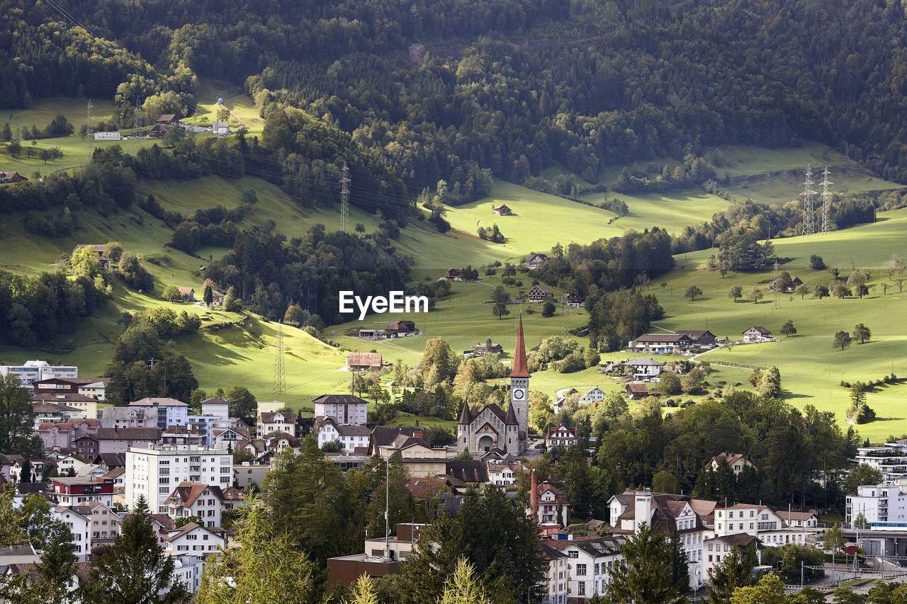 Aerial view of townscape and trees 