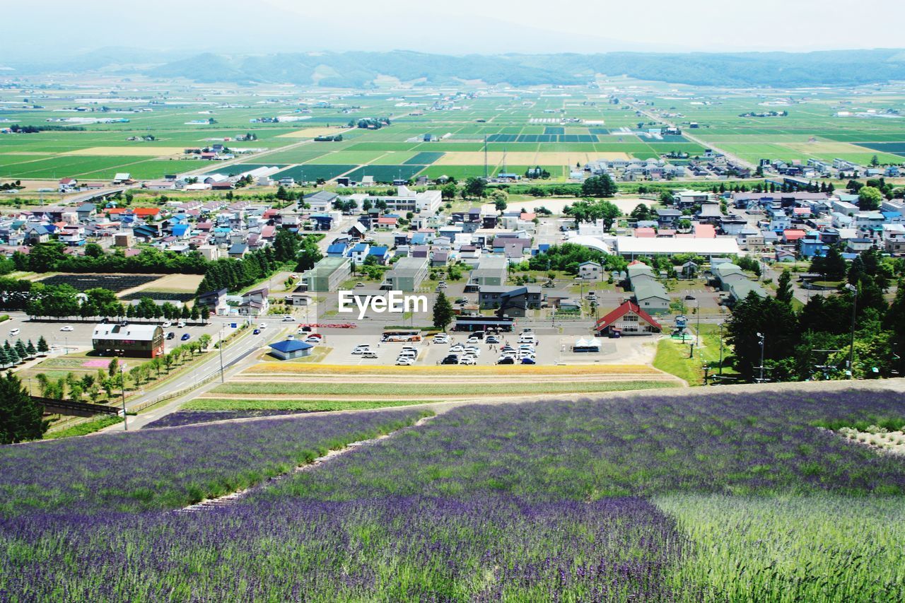 HIGH ANGLE VIEW OF HOUSES ON FIELD BY BUILDINGS