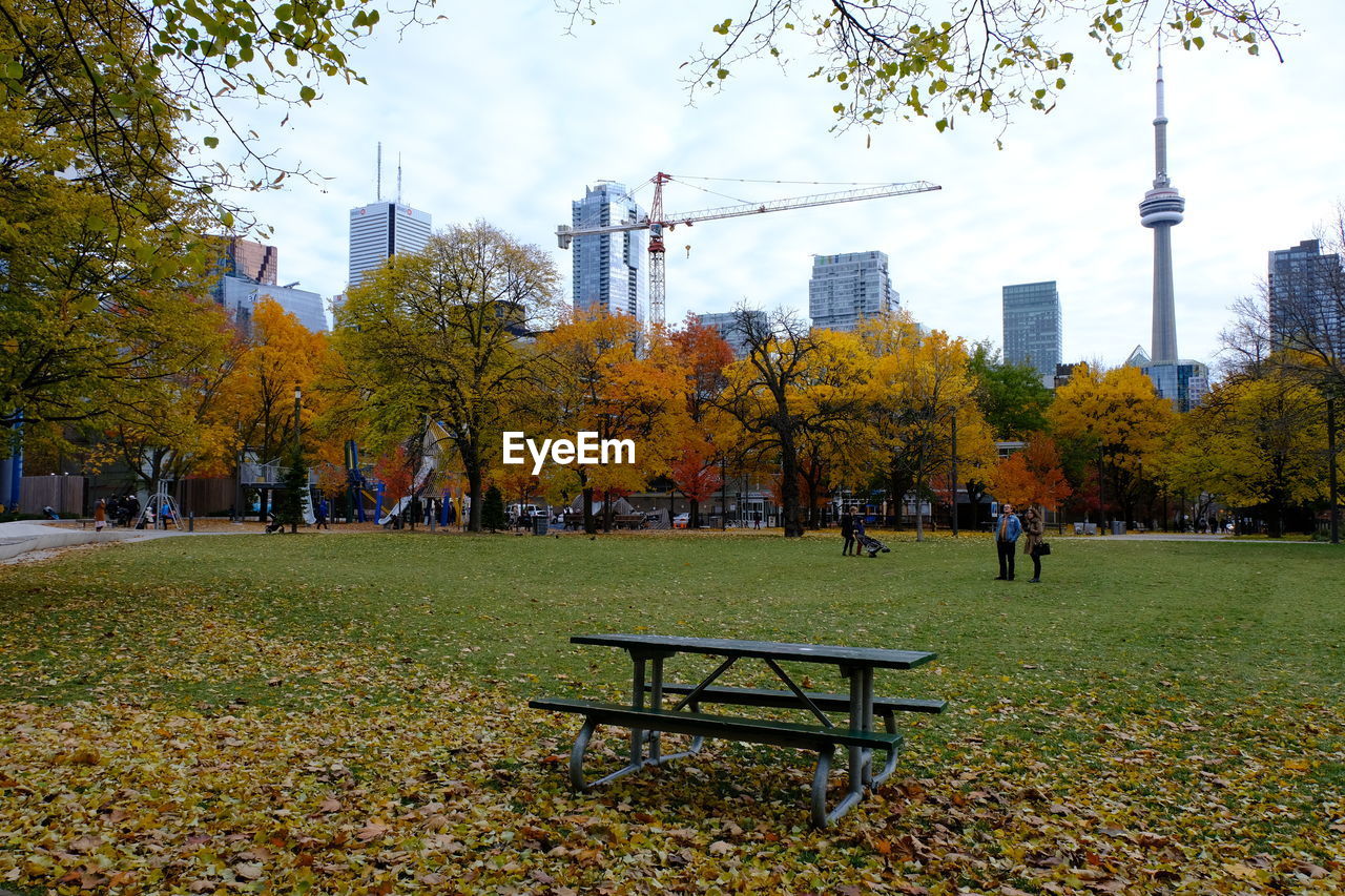 Trees in park during autumn