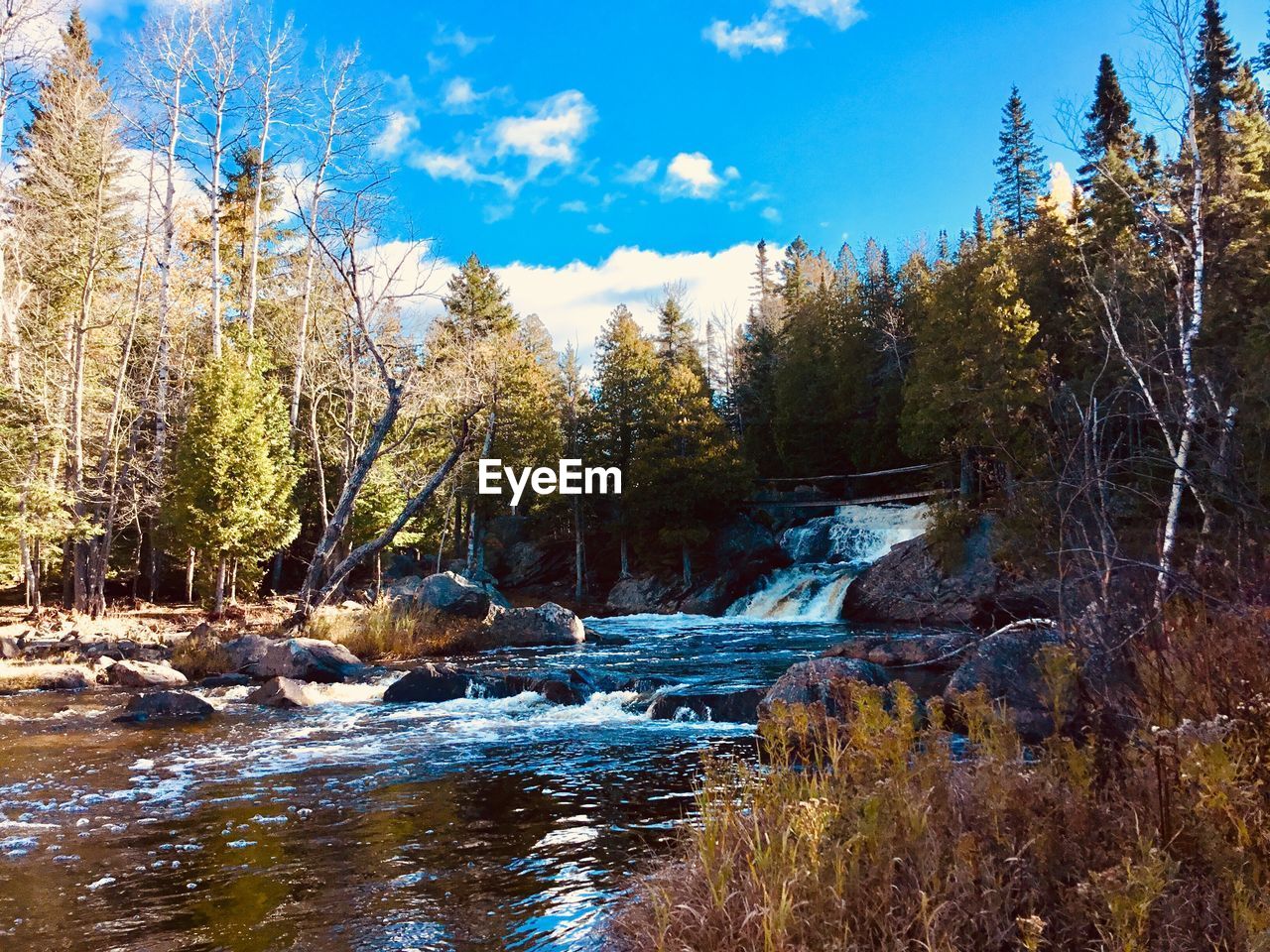 STREAM FLOWING IN FOREST AGAINST SKY