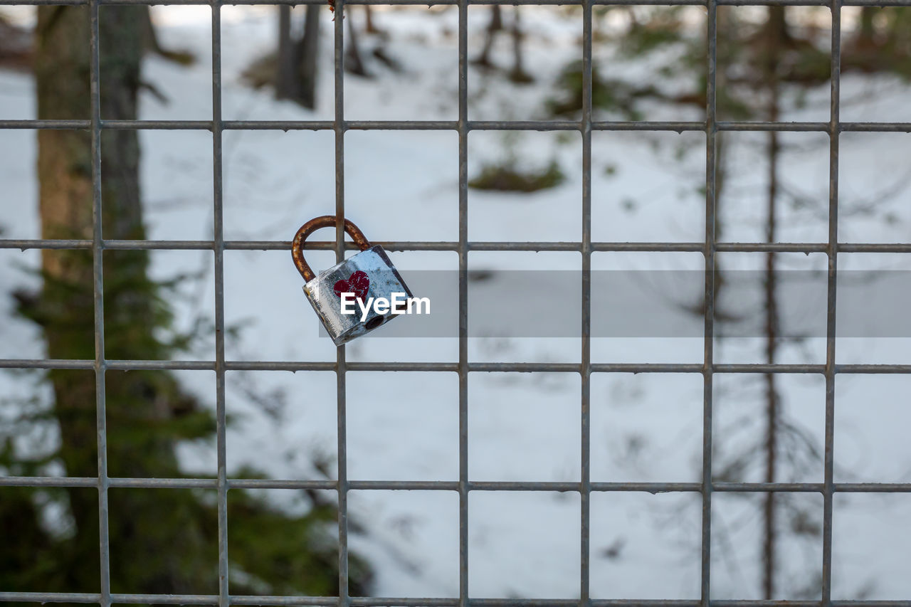 day, snow, focus on foreground, nature, security, protection, outdoors, sports, fence, metal, no people, winter, window