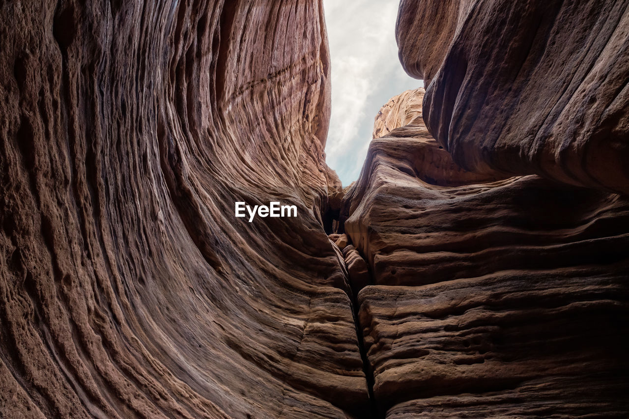 wood, rock formation, close-up, rock, nature, no people, geology, day, textured, non-urban scene, pattern, brown, cave, beauty in nature, outdoors, scenics - nature, travel destinations, physical geography, full frame, land