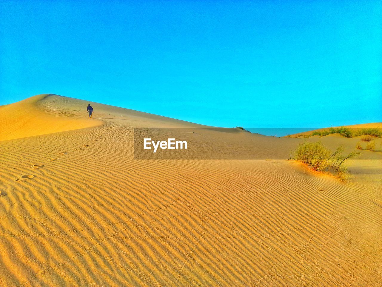 SCENIC VIEW OF SAND DUNES AGAINST CLEAR SKY