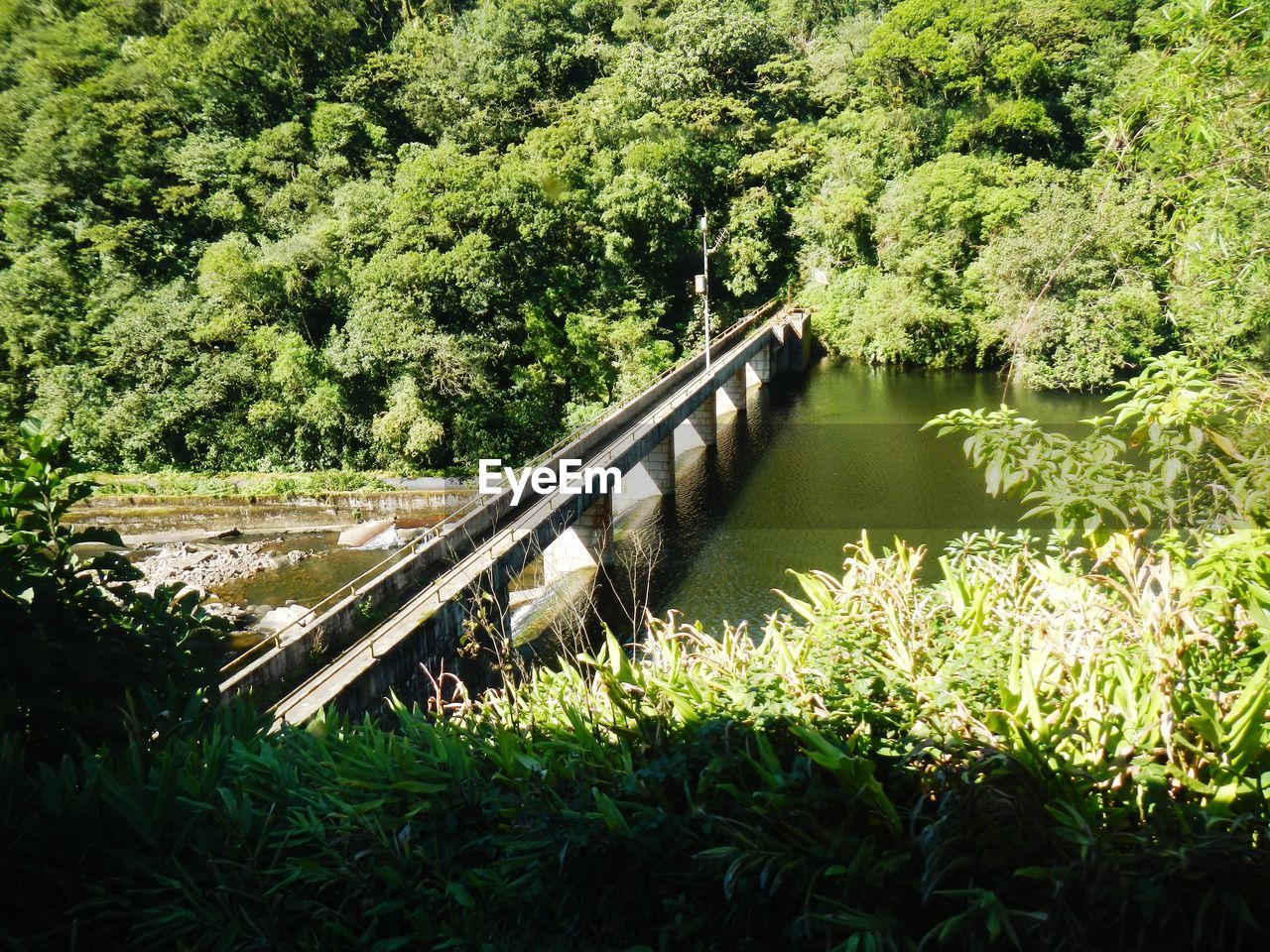 VIEW OF BRIDGE OVER RIVER IN FOREST