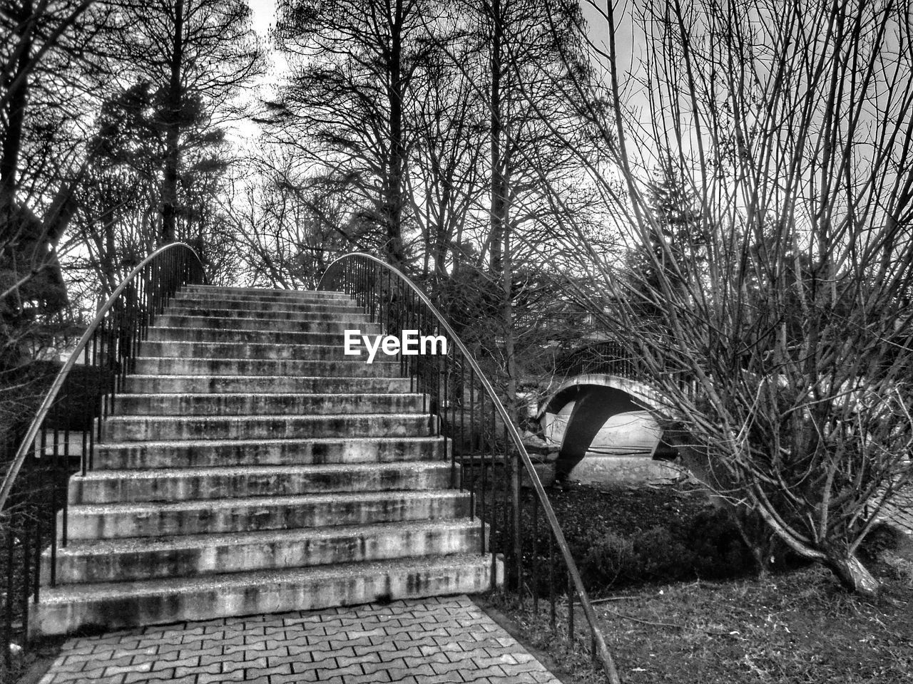 Stairs leading to trees