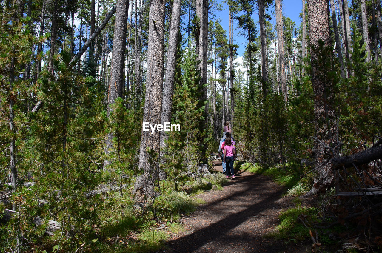 WOMAN WALKING IN FOREST