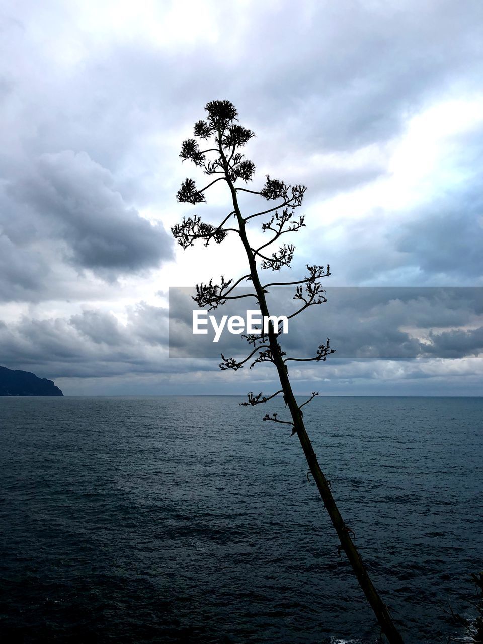 VIEW OF SEA AGAINST CLOUDY SKY