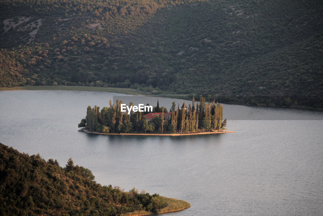 Scenic view of river by trees