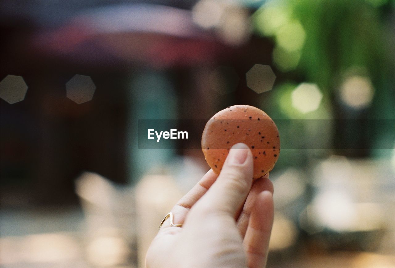 Close-up of hand holding macaroon 