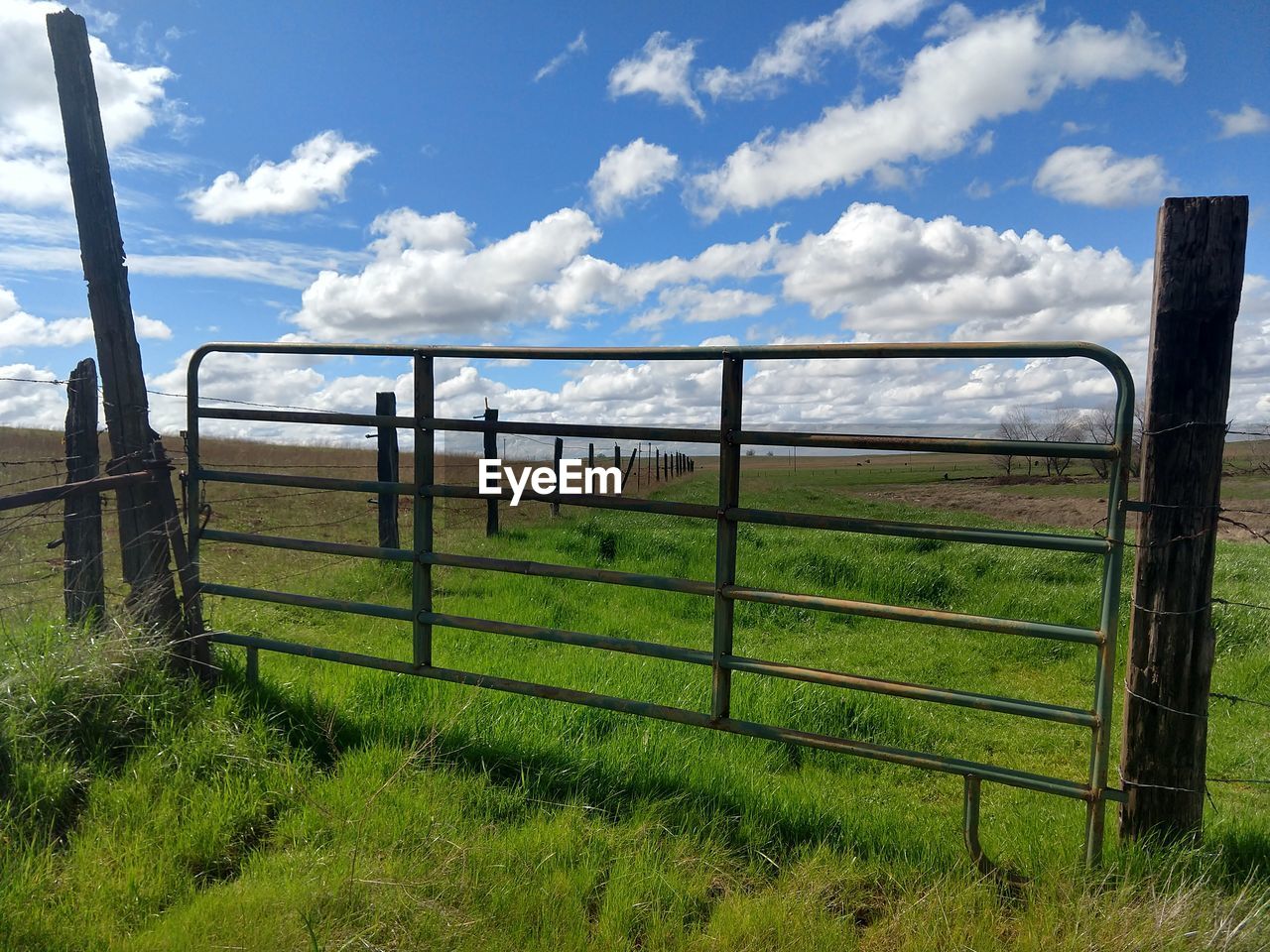 WOODEN FENCE ON FIELD BY PLANTS AGAINST SKY