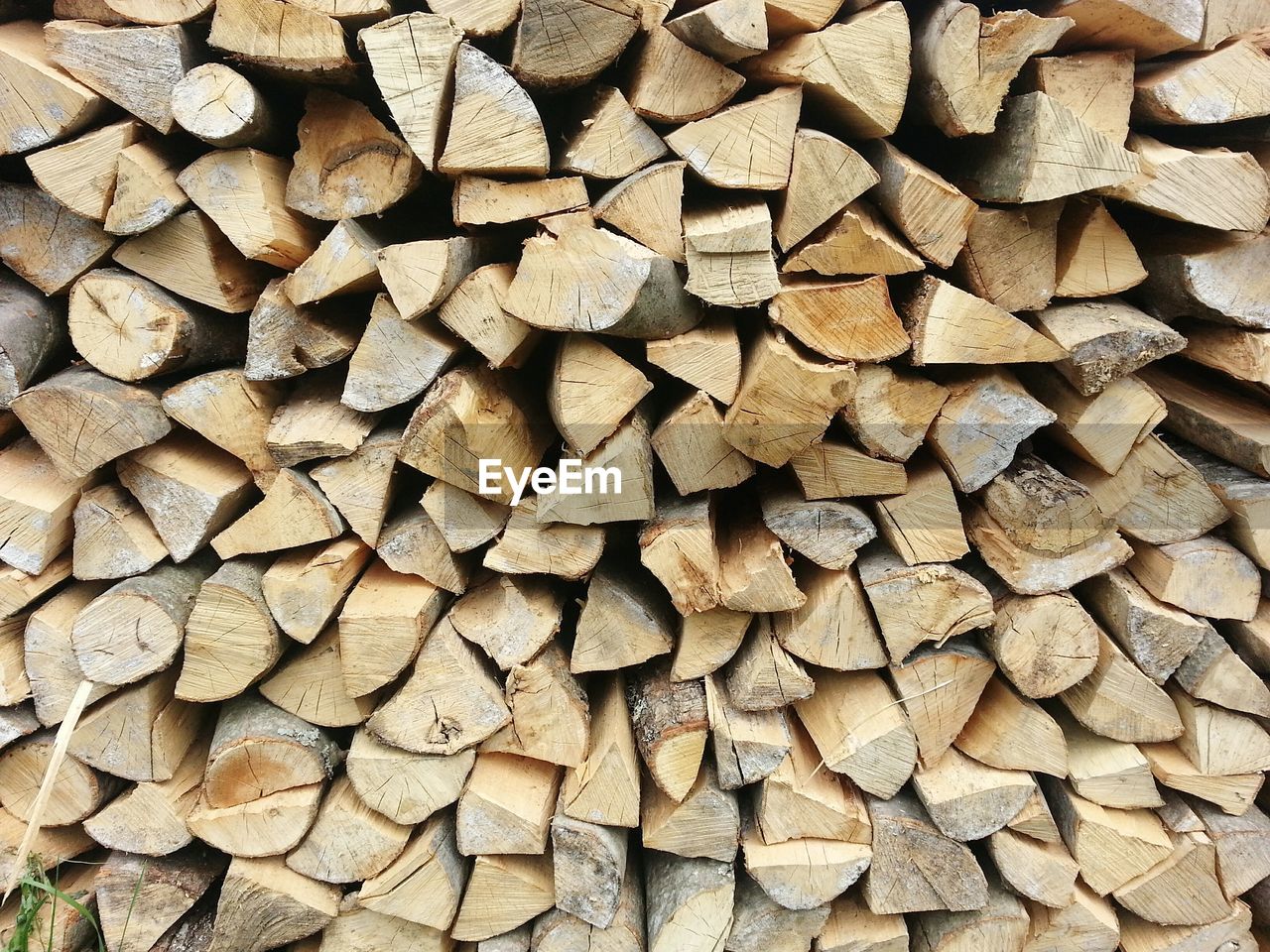 Full frame shot of logs in forest