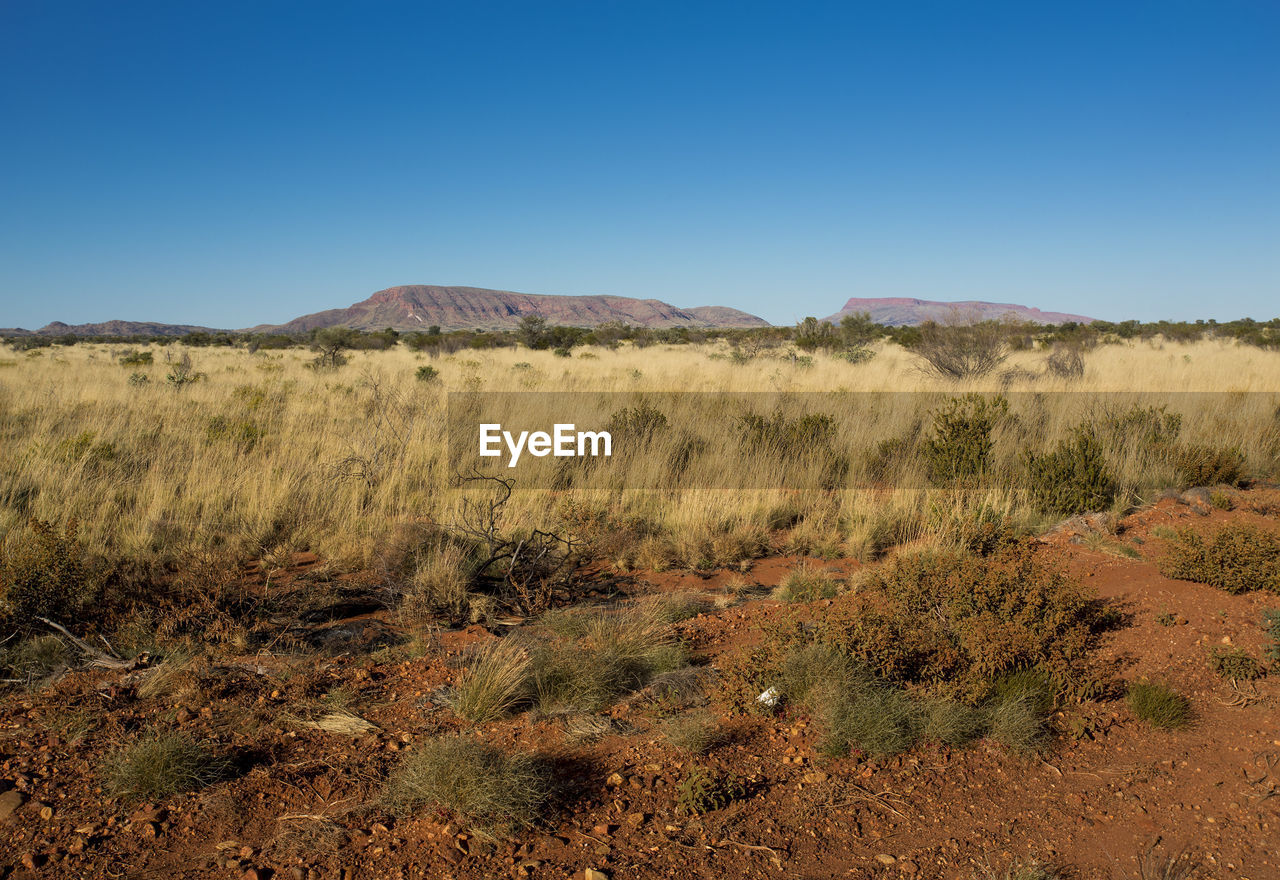 Scenic view of desert against clear blue sky