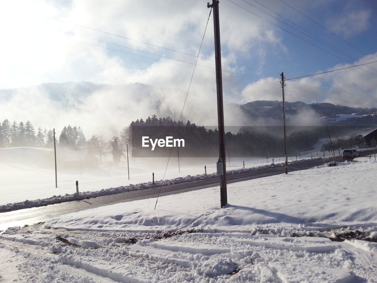 SNOW COVERED TREES AGAINST SKY