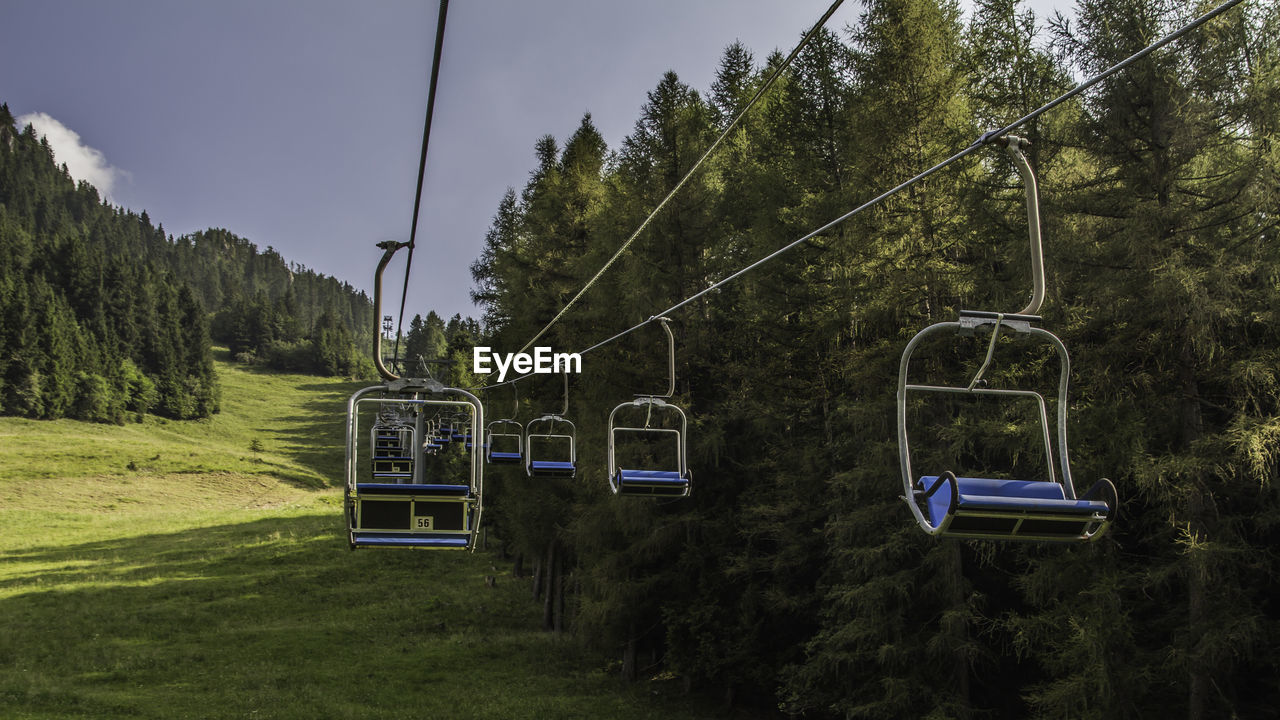 SKI LIFT AMIDST TREES IN FOREST