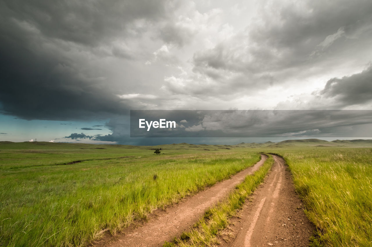 Road passing through agricultural field against sky