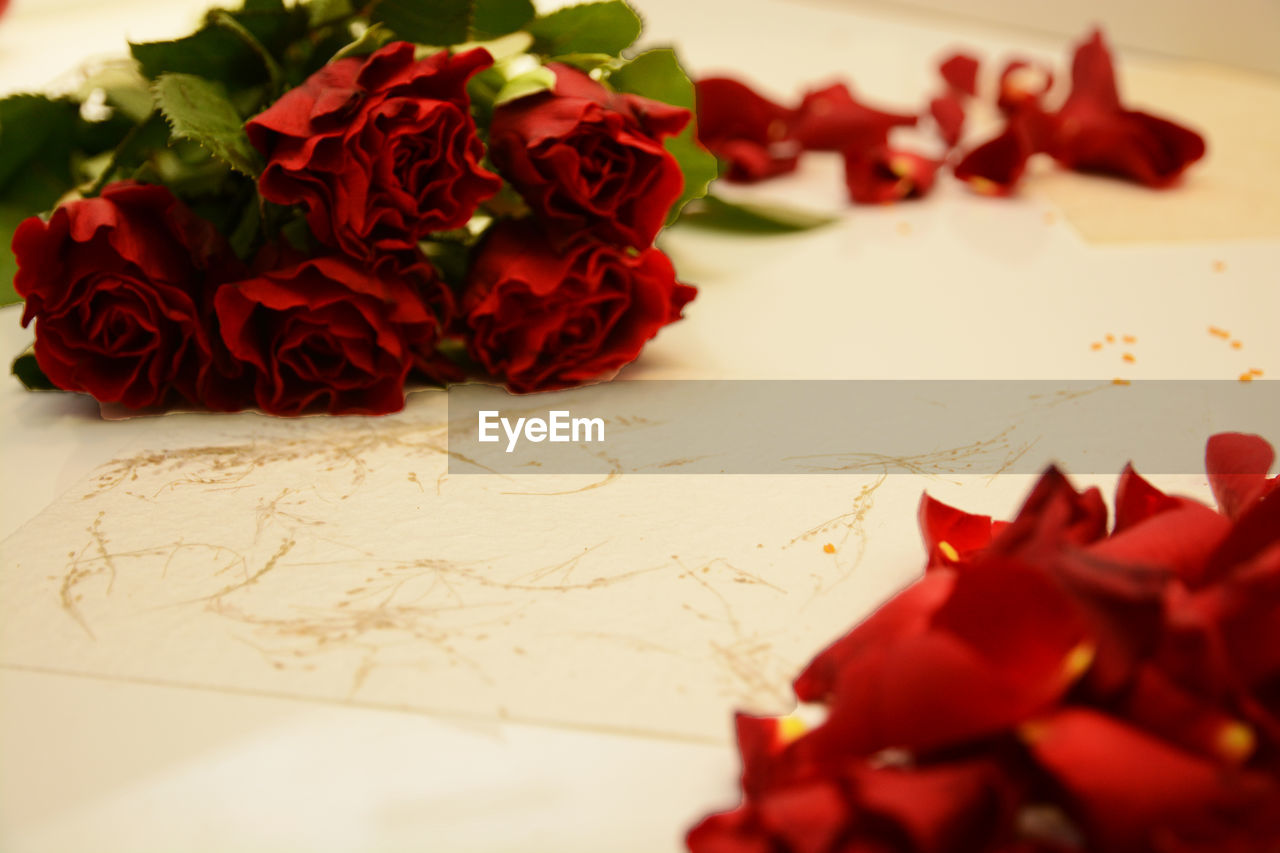 CLOSE-UP OF RED ROSE ON TABLE