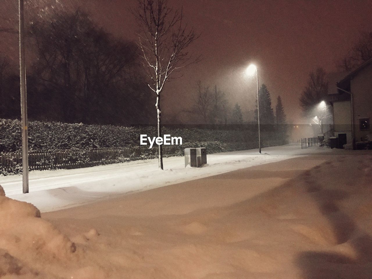 VIEW OF TREES IN SNOW