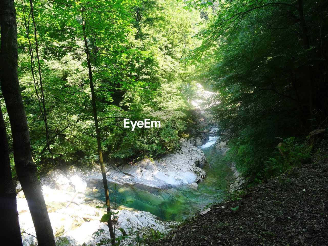 SCENIC VIEW OF WATERFALL