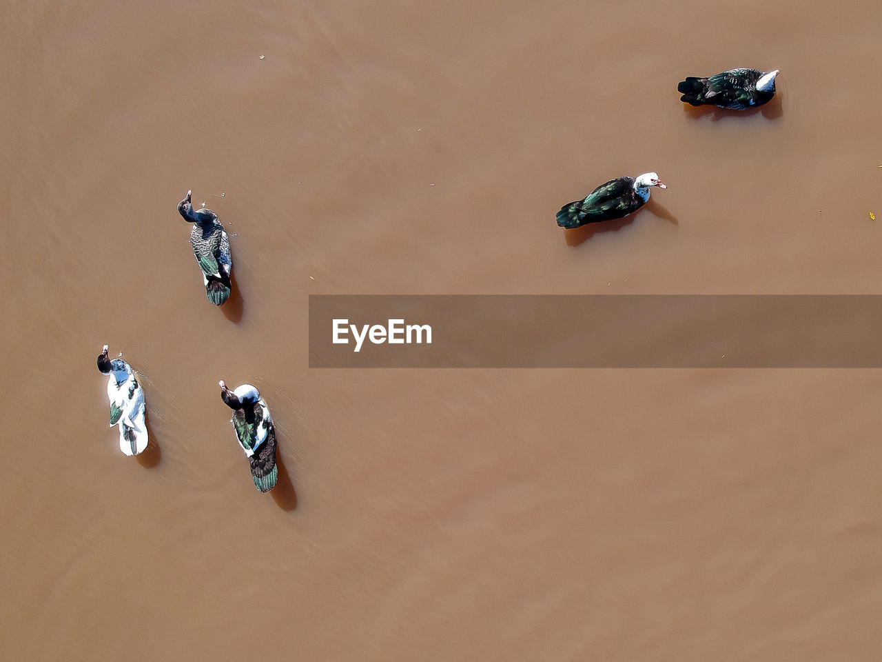 HIGH ANGLE VIEW OF PEOPLE ON LAND