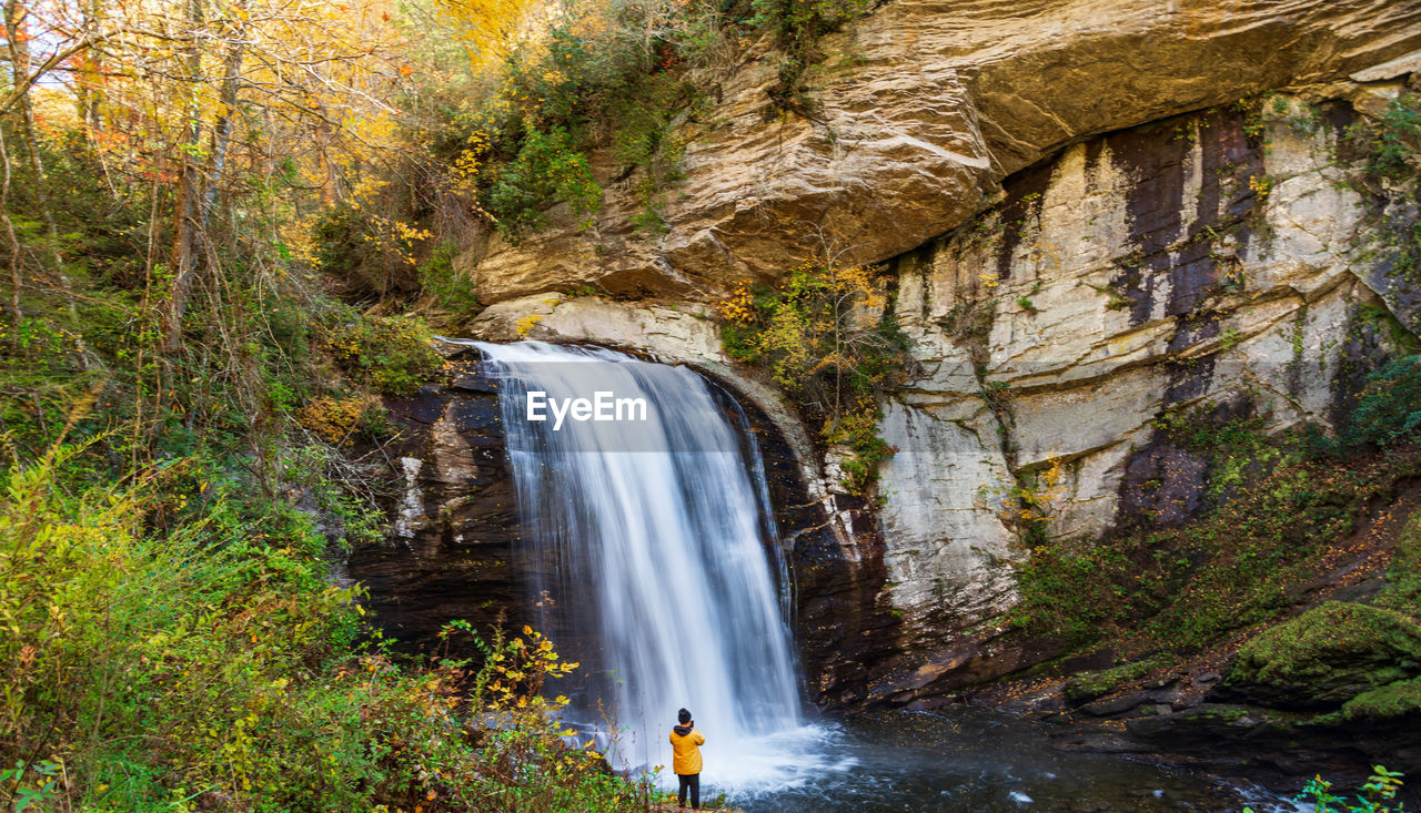 View of waterfall in forest