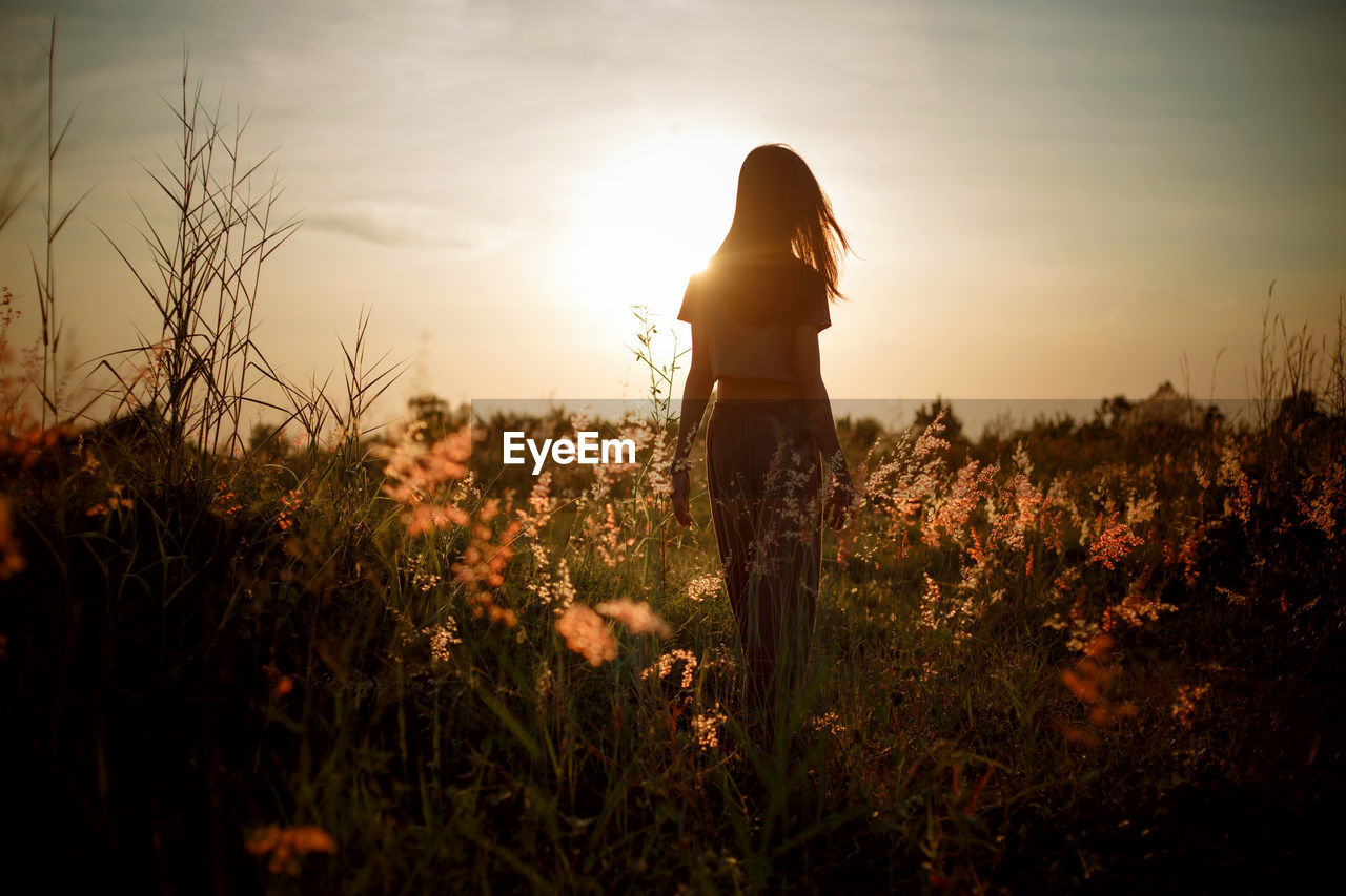 Young woman walking in spring field at sunset among fresh grass and touching yellow flowers.