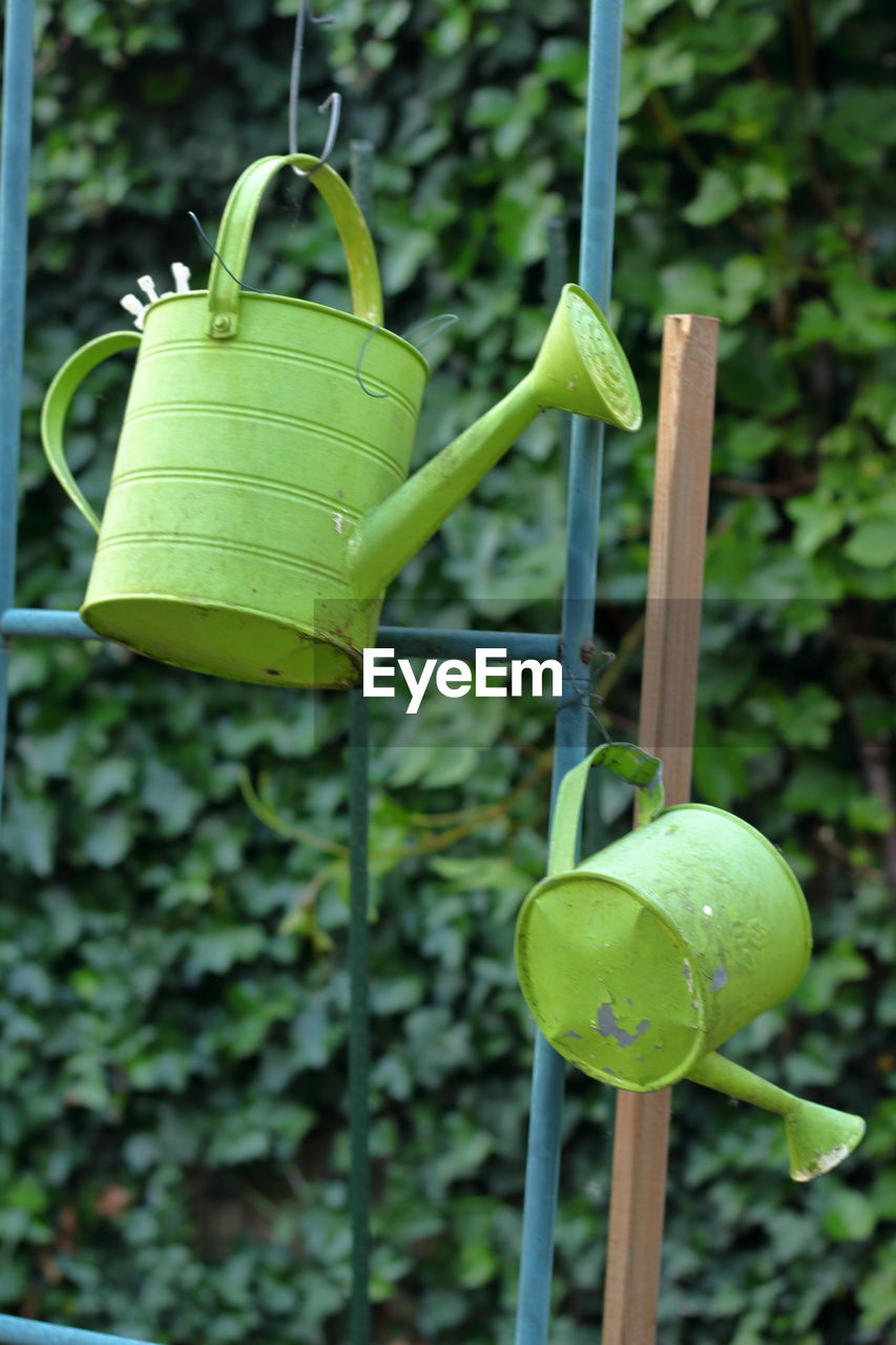 Close-up of green watering cans hanging on plant