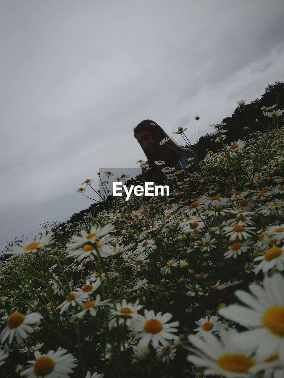 Tilt image of woman surrounded with daises against cloudy sky