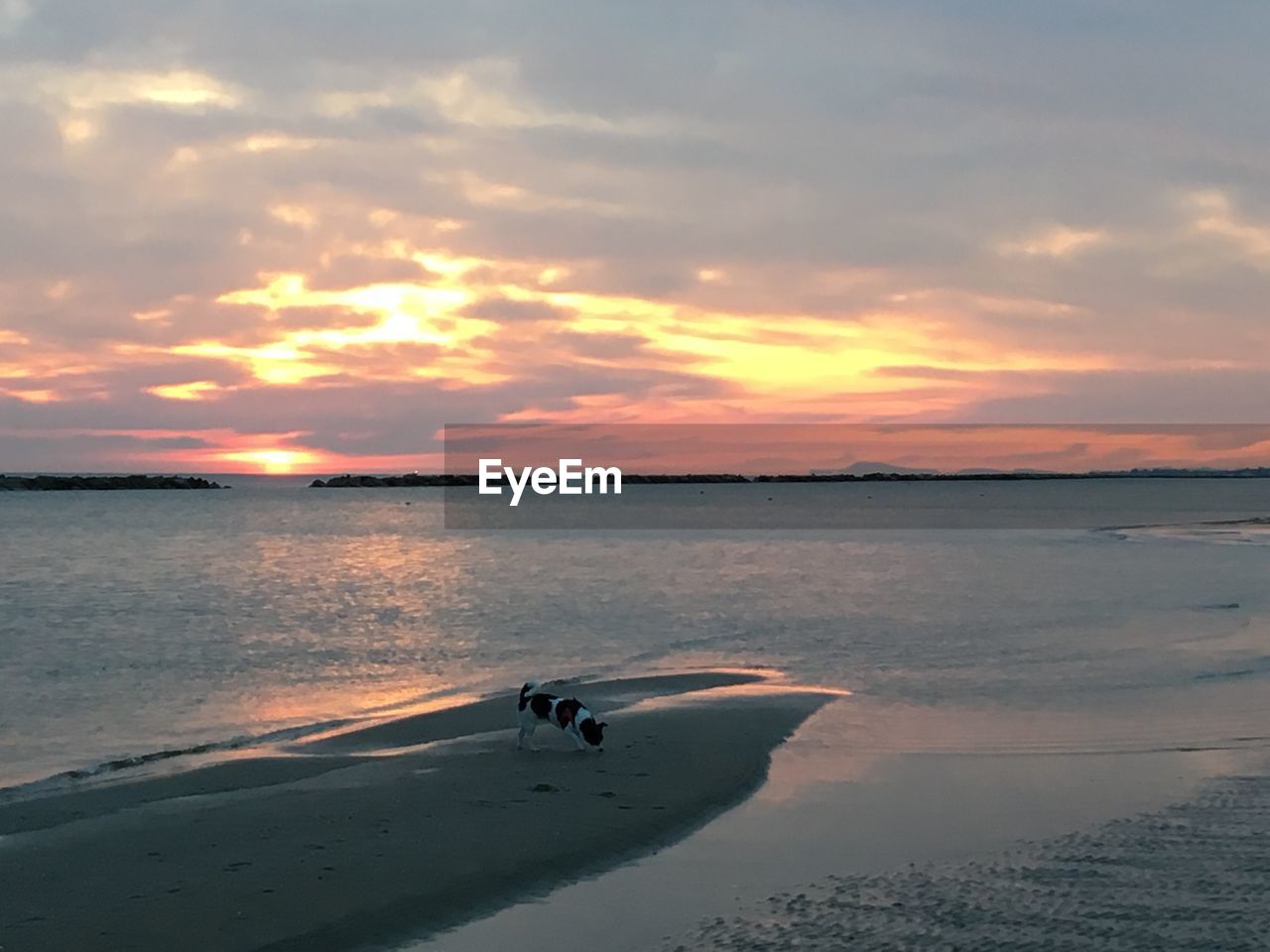 SCENIC VIEW OF SEA AGAINST SKY AT SUNSET