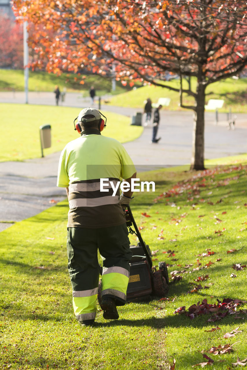 Rear view of gardener working in park during autumn