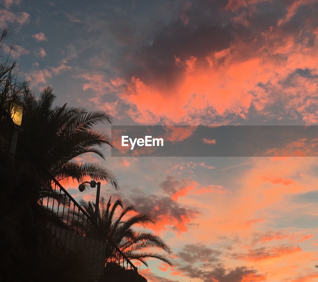 LOW ANGLE VIEW OF SILHOUETTE PALM TREES AGAINST CLOUDY SKY