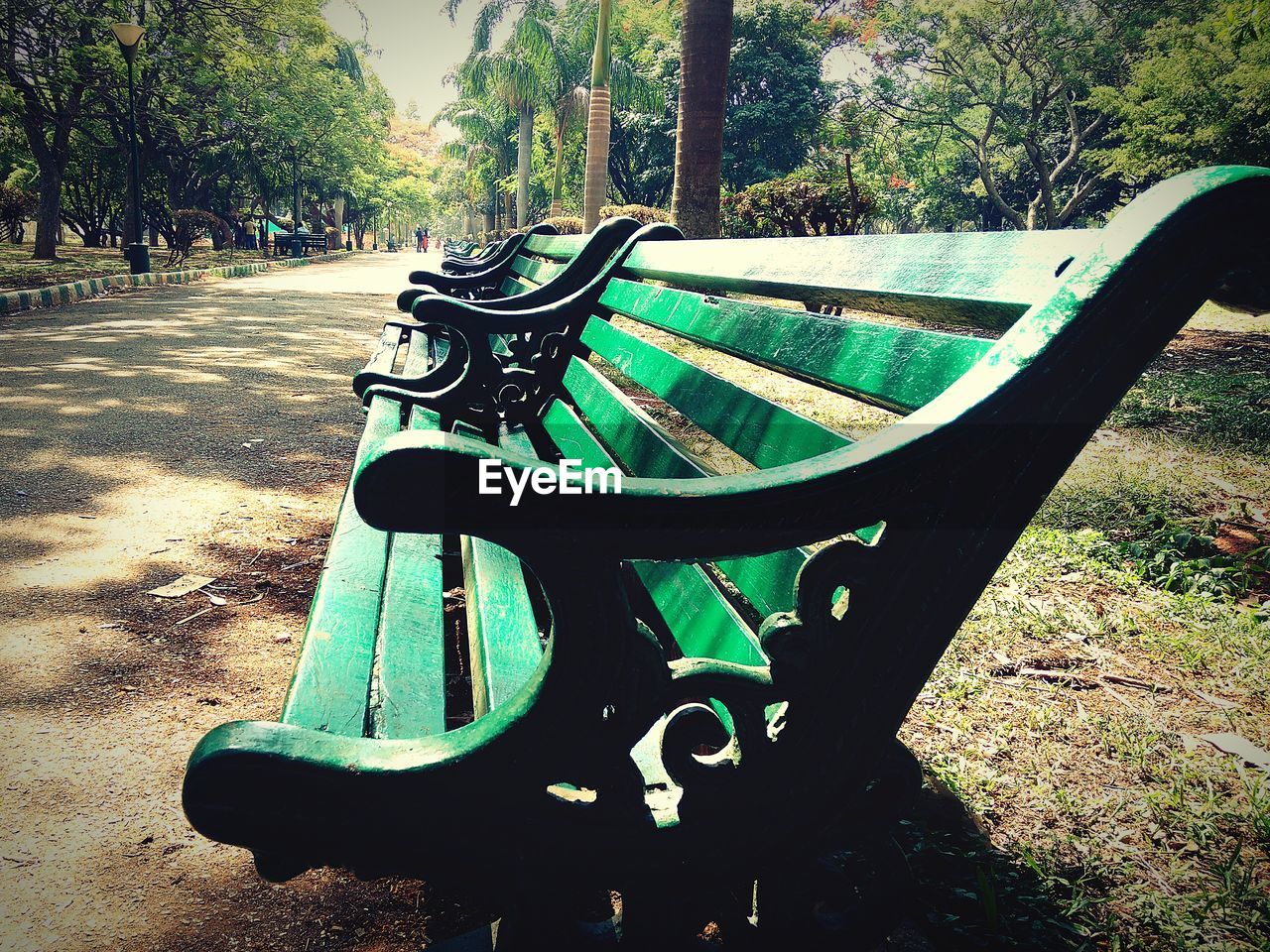 CLOSE-UP OF EMPTY BENCH IN PARK AGAINST TREES