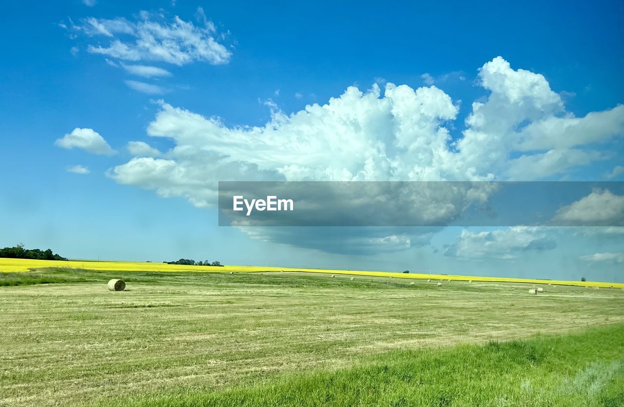 sky, landscape, environment, horizon, cloud, grassland, grass, field, land, plant, nature, plain, blue, beauty in nature, scenics - nature, green, meadow, rural scene, prairie, agriculture, sunlight, horizon over land, tranquility, no people, tranquil scene, cloudscape, summer, day, pasture, outdoors, rapeseed, idyllic, non-urban scene, farm, rural area, travel, urban skyline, landscaped, tree, springtime, yellow, hill, environmental conservation, freshness