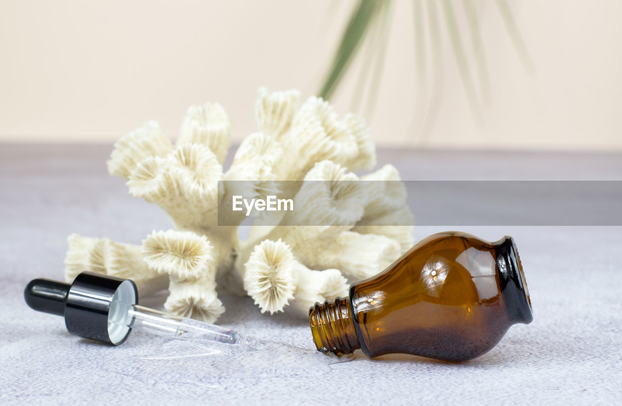 Brown cosmetic bottle, pipette and corral on a beige background with a green branch.