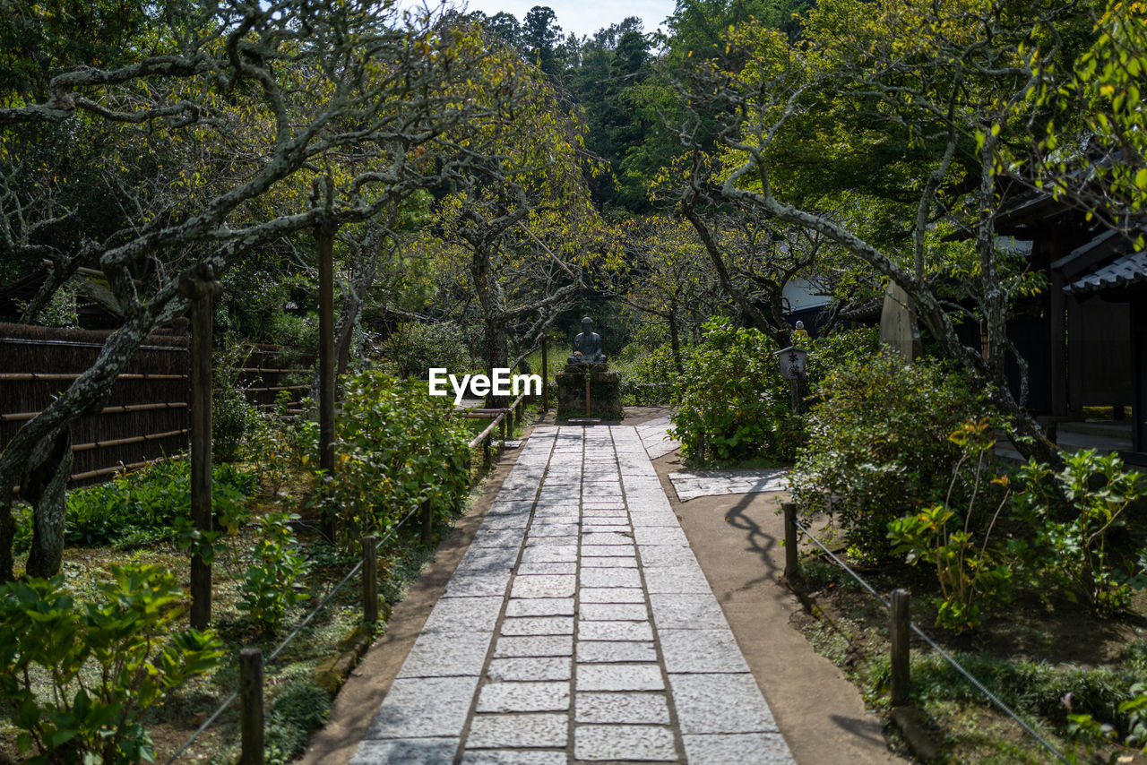 FOOTPATH AMIDST PLANTS AND TREES IN PARK