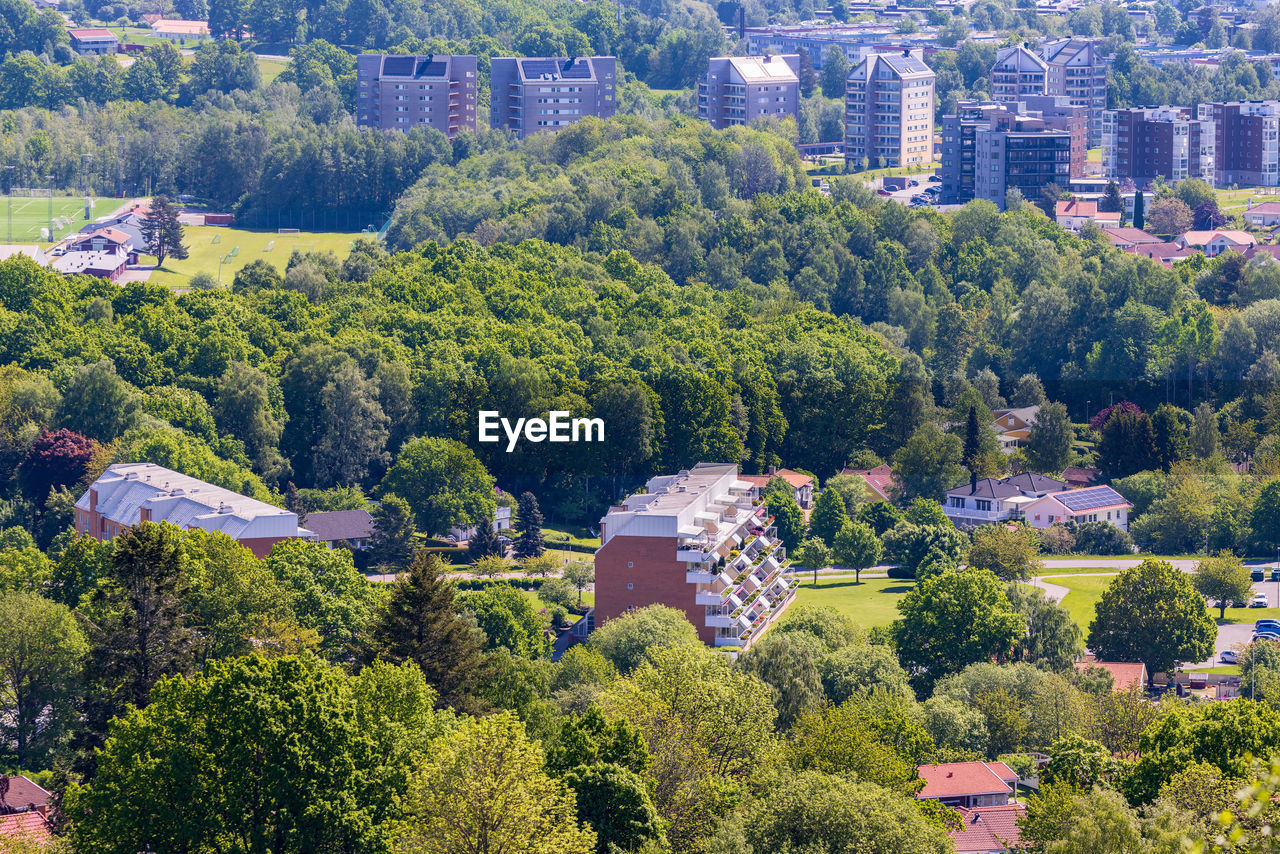 Residential houses in a city with a green area