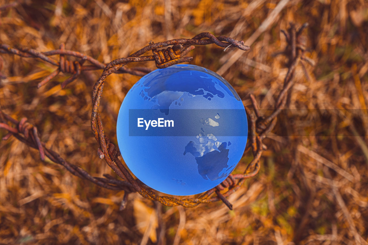 The concept of symbolism. on yellow grass is a glass globe, which is surrounded by rusty barbed wire
